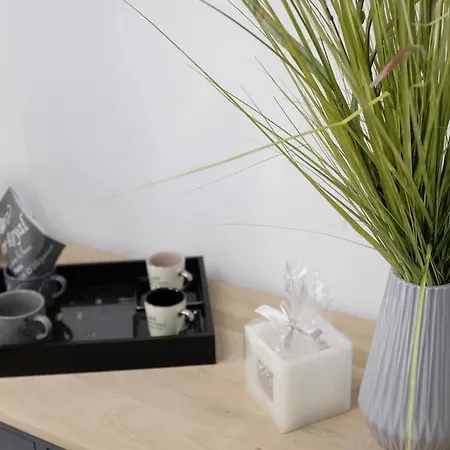 Leo 62 Guest house Cesenatico